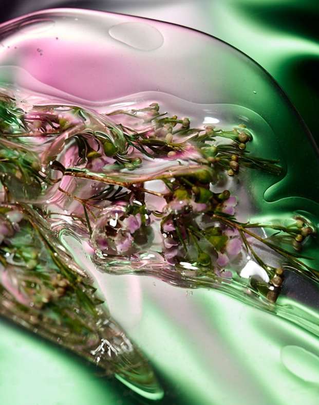 Close-up of delicate pink flowers and verdant green leaves encased in transparent gel against a glossy, dark green backdrop.