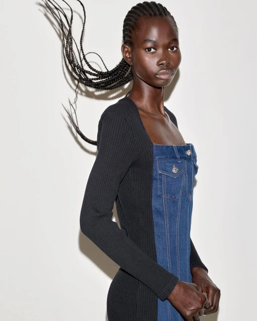 Portrait of a Black woman in a half-denim, half-knit dress posing against a white background, her braided hair windswept.