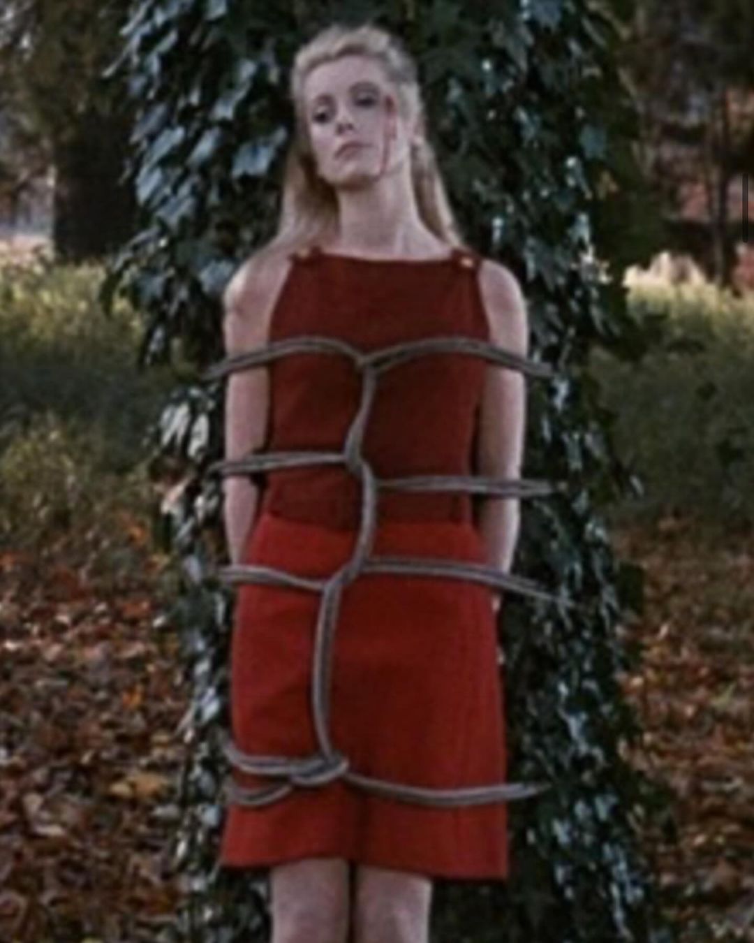 A young adult woman with blonde hair is tied to a tree in a red dress with rope, looking distraught in a rural outdoor environment.