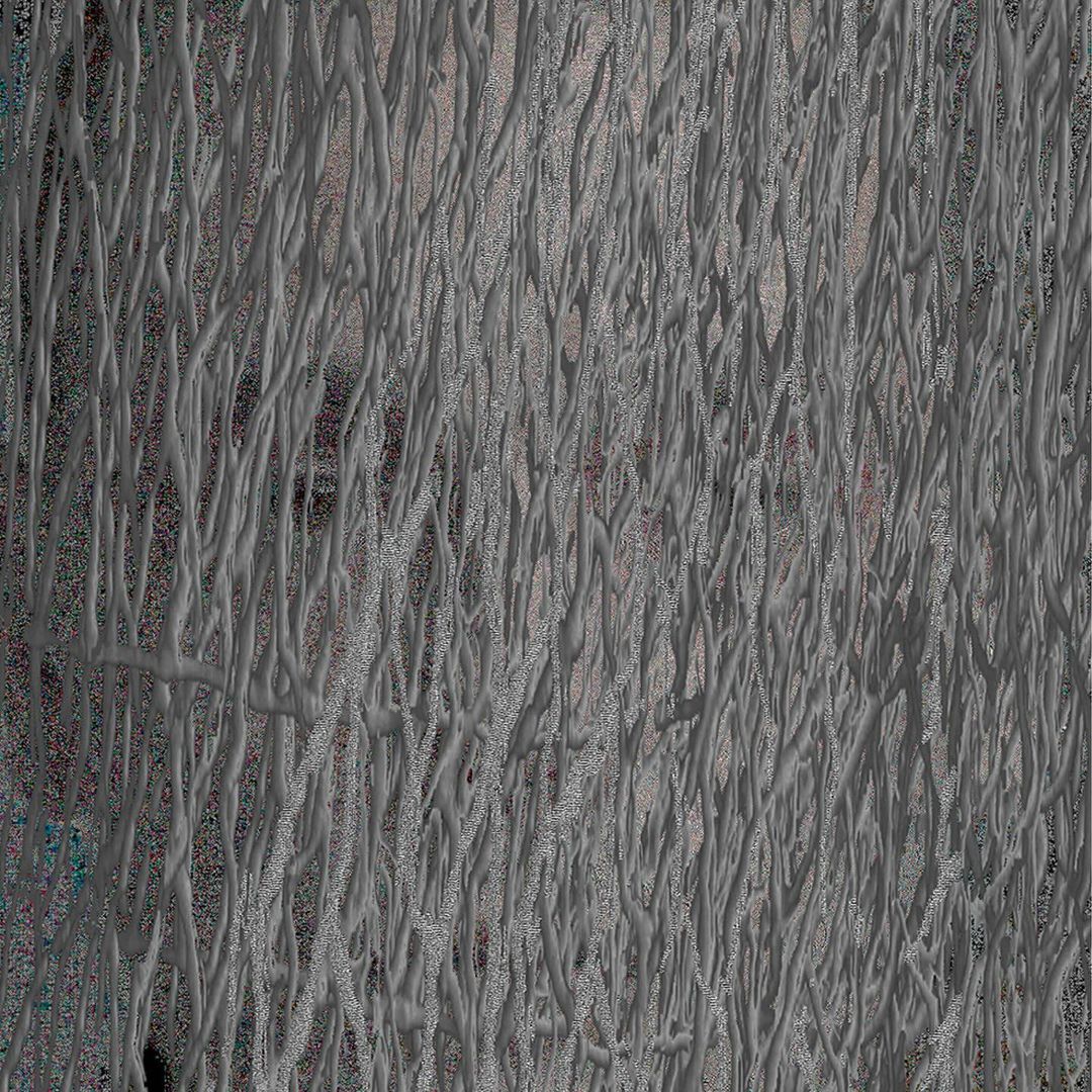 Abstract art featuring intricate, textured gray and white patterns, creating a visually complex and unique design element. 