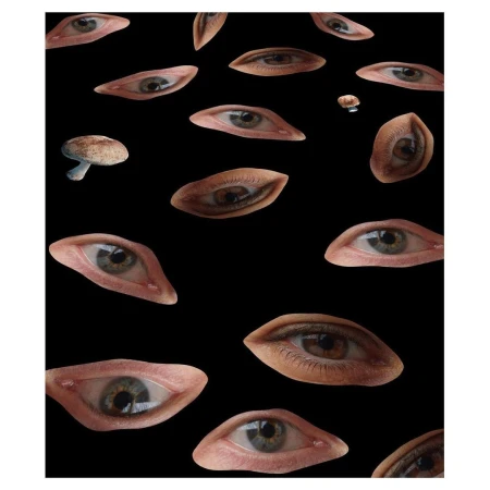 Surreal digital art composition featuring multiple human eyes floating against a stark black backdrop, with a small scattering of mushrooms.