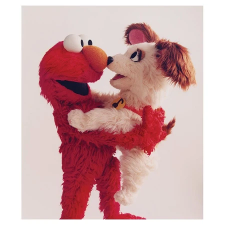 Elmo puppet hugs a dog puppet with tan, brown and white fur against a white background in an eye-level studio shot.