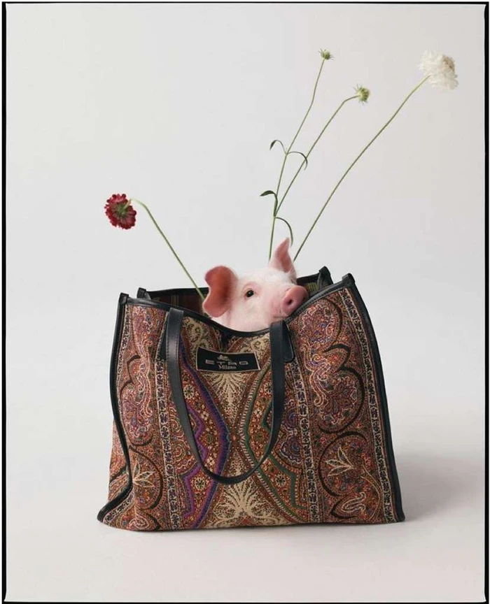 A small pig peeking out from inside an ornate patterned tote bag accompanied by delicate flower stems against a plain white background.