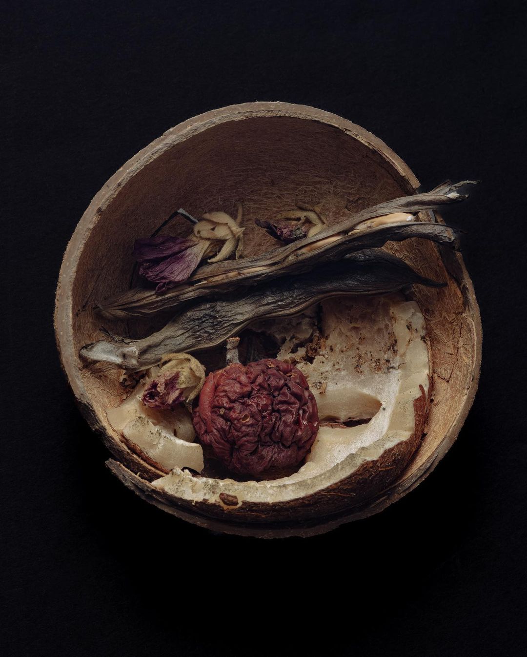Still life studio shot of a dried pomegranate and flower petals inside a halved coconut shell against a black background.