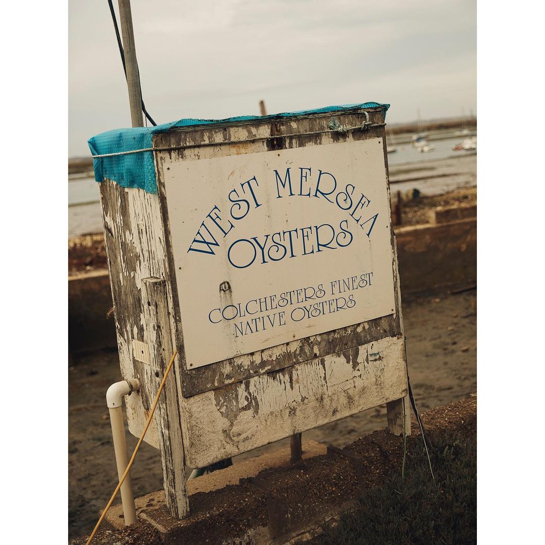 Weathered oyster sign for West Mersea Oysters with Colchester's Finest Native Oysters written on it, boats in the background.