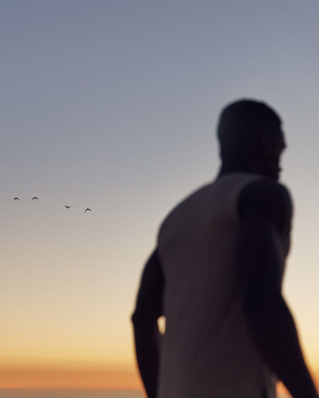 Silhouette of an adult male in a tank top against a dusk sky with distant birds, creating a serene outdoor fitness scene.