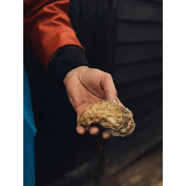 An oyster held in a person's hand is captured in a medium shot, showcasing its texture, size, and location near a dark wooden wall.
