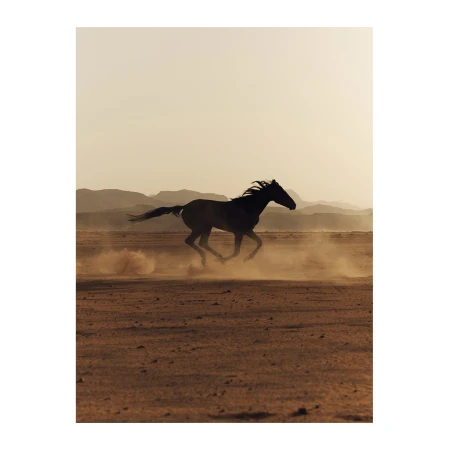 Silhouette of a horse galloping across a dusty desert landscape under a hazy sky