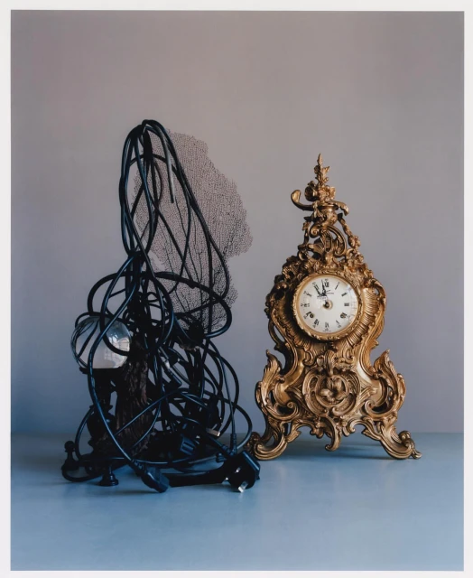Still life featuring an ornate gold clock with a white face, and an abstract sculpture of black wire with a sea fan element.