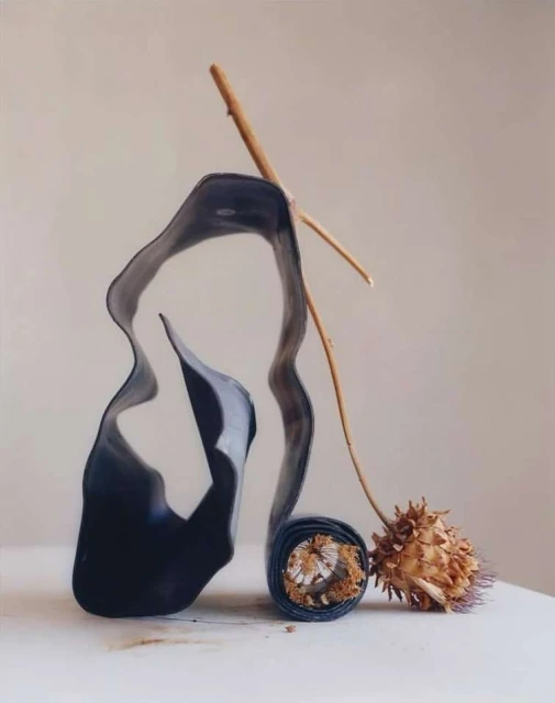 Still life shot with an abstract, dark-colored vase or sculptural object next to a dried flower, all set against a neutral background.