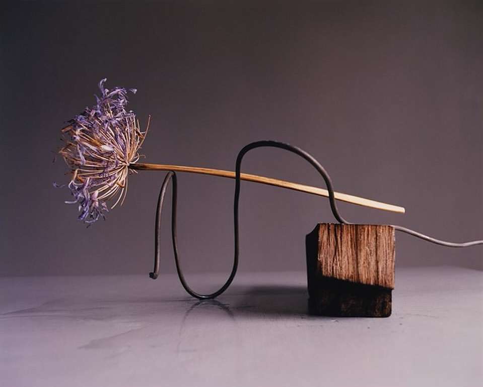 Studio still life of a dried allium flower head atop a wooden block with a metal wire against a grey backdrop.