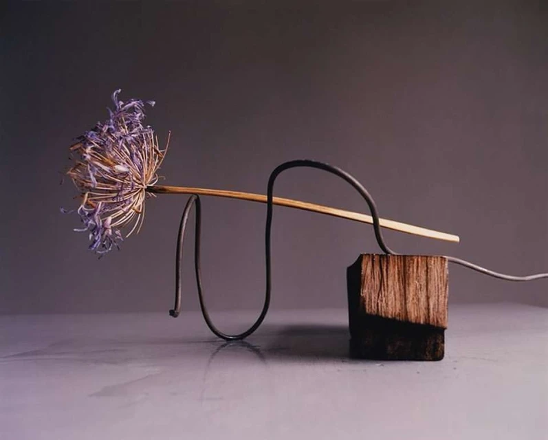 Studio still life of a dried allium flower head atop a wooden block with a metal wire against a grey backdrop.