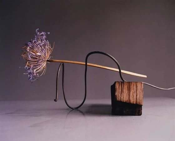 Studio still life of a dried allium flower head atop a wooden block with a metal wire against a grey backdrop.
