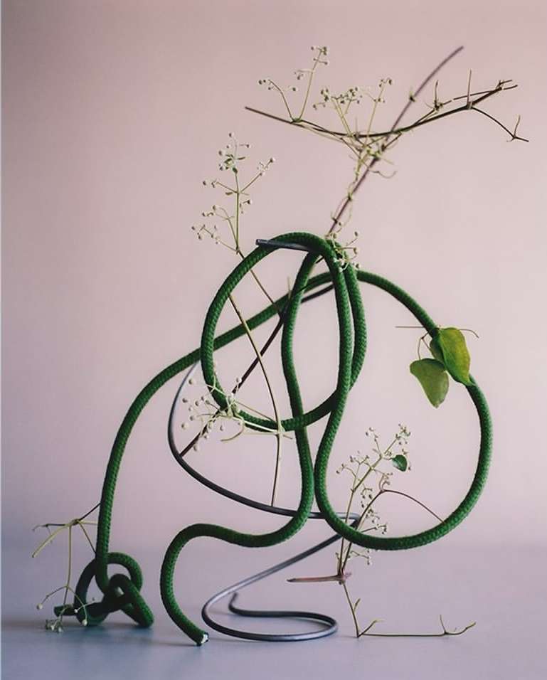 Still life of a green coiled rope atop a metal frame, with a dried floral arrangement against a soft, light pink backdrop.