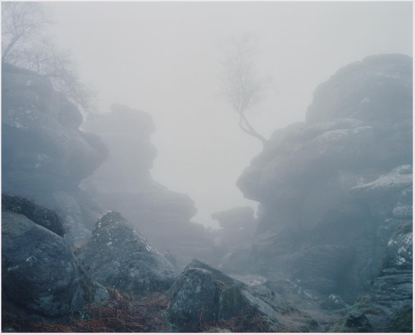 Misty landscape photography featuring weathered rock formations and sparse trees, creating a serene and atmospheric outdoor environment.