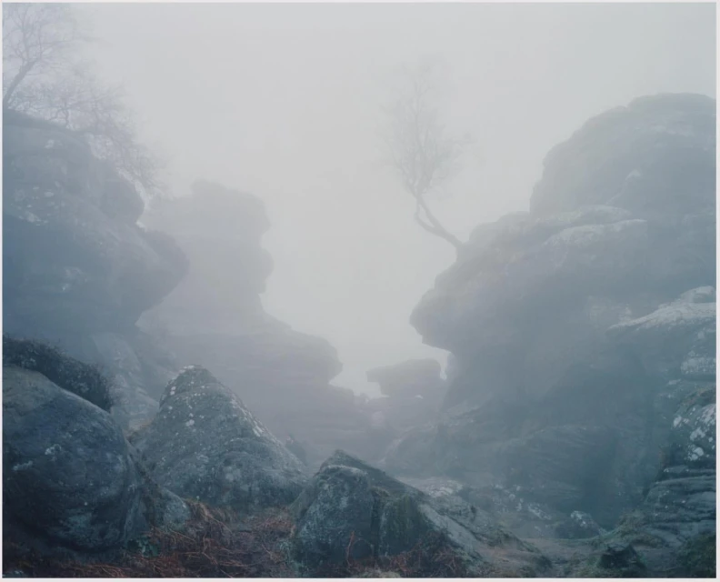 Misty landscape photography featuring weathered rock formations and sparse trees, creating a serene and atmospheric outdoor environment.
