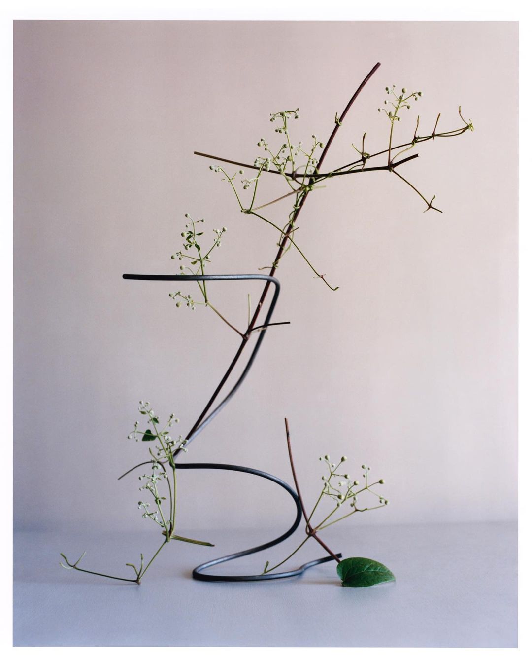 Minimalist floral arrangement featuring delicate white flowers, thin branches, and a single green leaf in a modern, sculptural black metal vase.