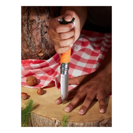 Person using a folding knife to stab a tree stump on top of a red and white checkered picnic blanket with walnuts nearby.