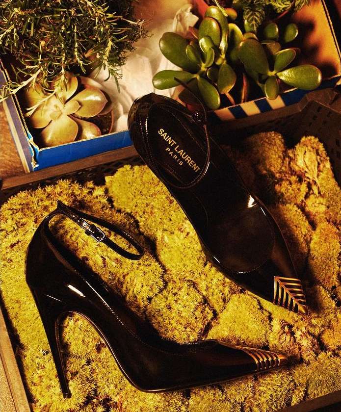 Elegant black patent leather stiletto pumps with gold accents displayed on mossy ground and potted plants in the background. Fashion shot.
