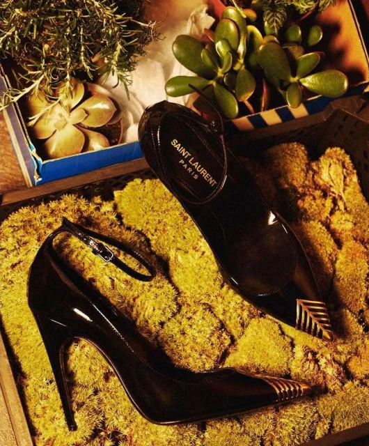 Elegant black patent leather stiletto pumps with gold accents displayed on mossy ground and potted plants in the background. Fashion shot.