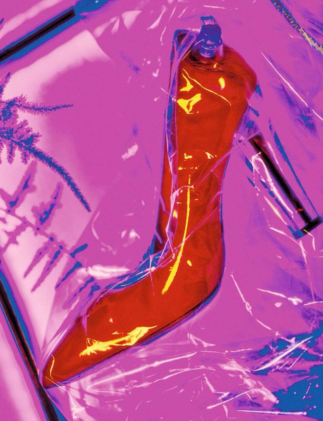 Red high heel shoe encased in clear plastic, artistic lighting, and a sprig of a blue-toned leafy plant.