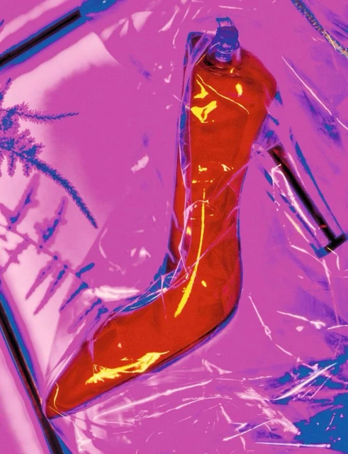 Red high heel shoe encased in clear plastic, artistic lighting, and a sprig of a blue-toned leafy plant.