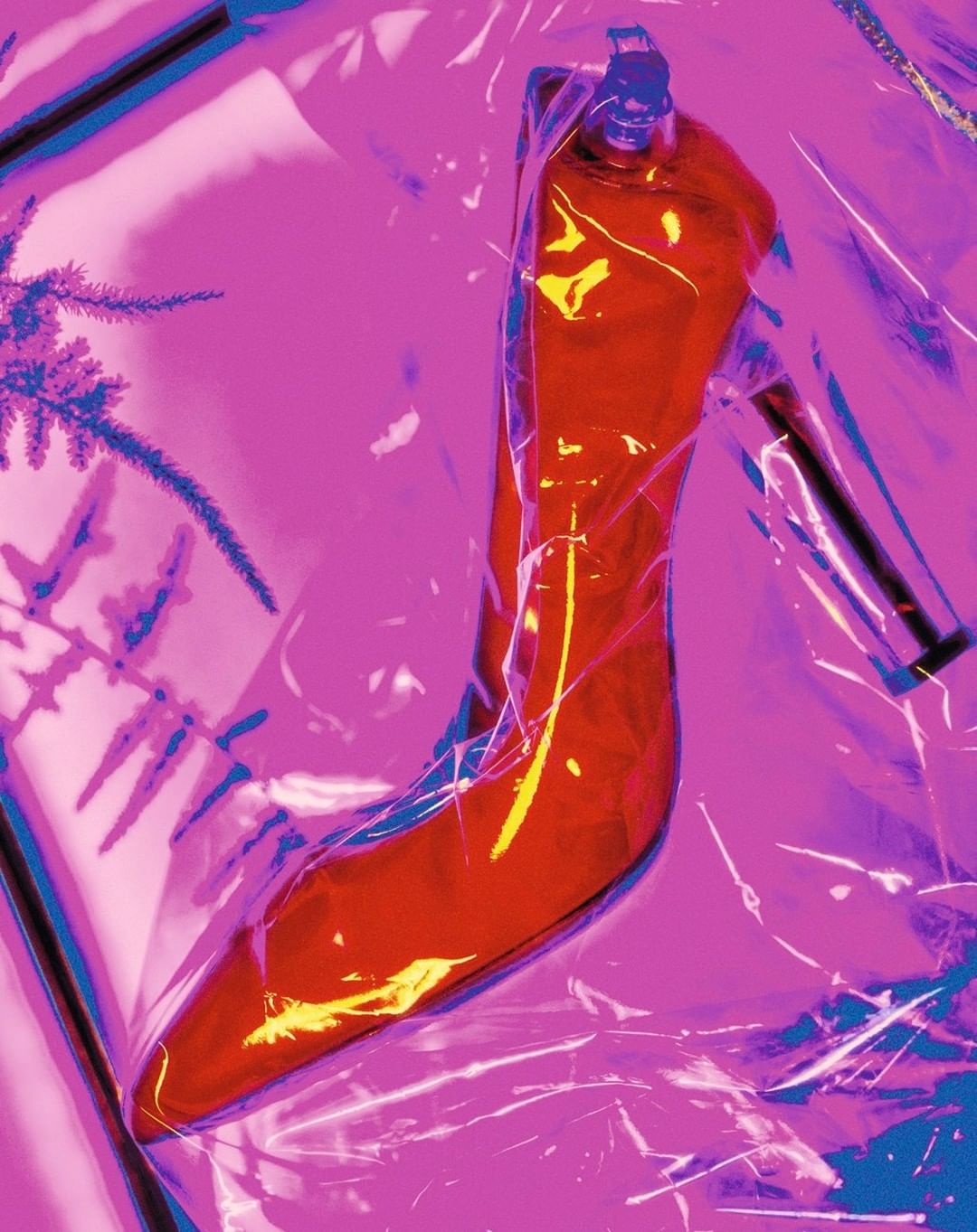 High-heeled shoe enclosed in plastic wrap, set against a vibrant magenta backdrop with botanical elements adding a touch of contrast.