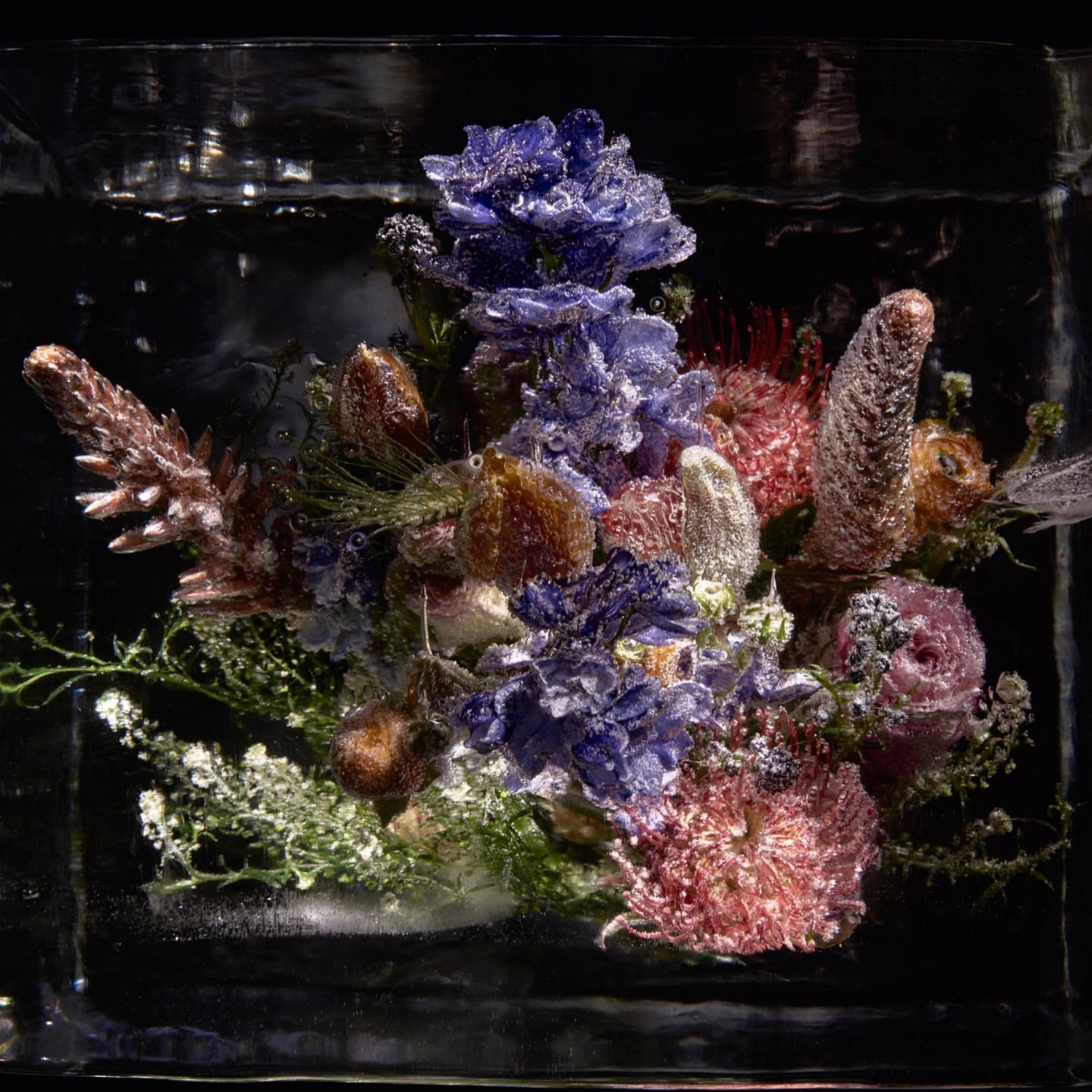 Floral arrangement frozen in a block of ice, displaying blue, pink, and brown flowers, creating a unique and preserved floral display.