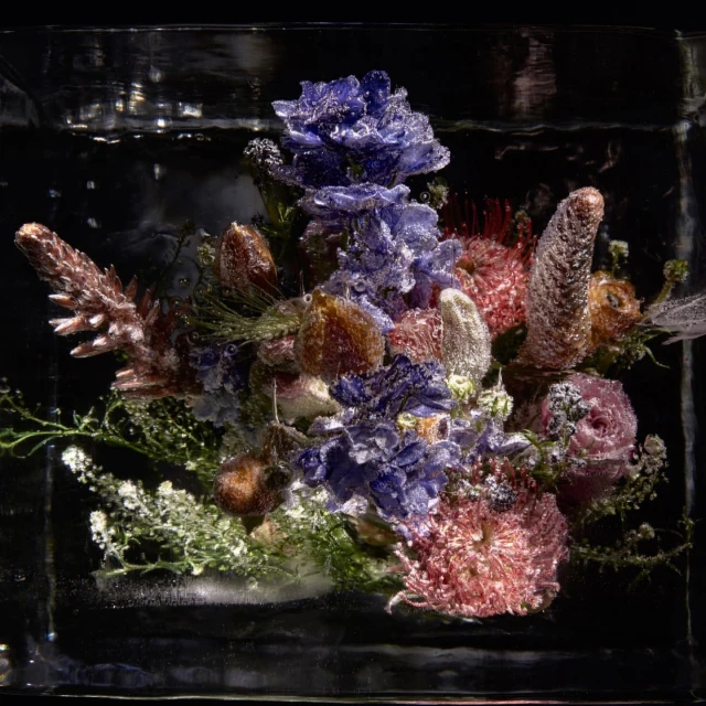 Floral arrangement frozen in a block of ice, displaying blue, pink, and brown flowers, creating a unique and preserved floral display.