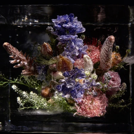 An arrangement of blue, pink, and brown flowers encased inside a solid block of ice against a dark background.