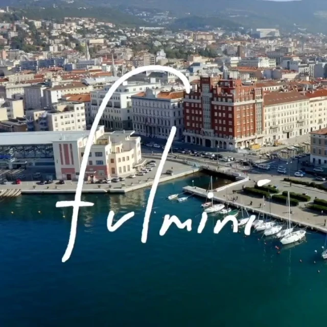 Aerial view of Trieste, Italy showcasing the waterfront harbor with boats, and the city's architecture under daylight, capturing a scenic cityscape.
