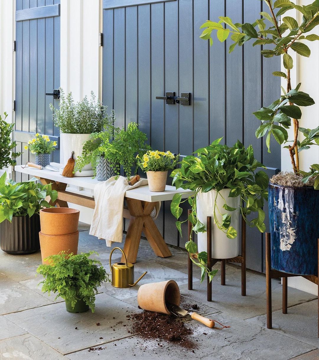 Outdoor patio with potted plants, including ferns and leafy greens, sitting on and around a white bench against a blue shiplap wall.