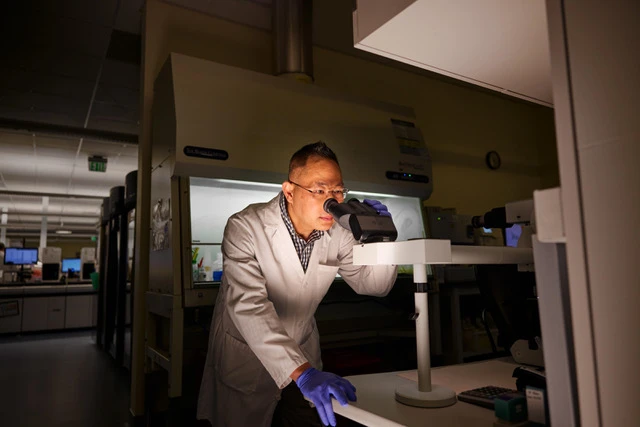 Asian scientist looks into a microscope in a laboratory setting with lab equipment, wearing a lab coat and protective gloves.