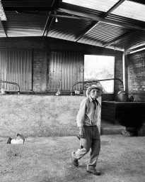 Elderly man wearing a hat and light shirt walking inside an industrial shelter with corrugated roof by David Martinez