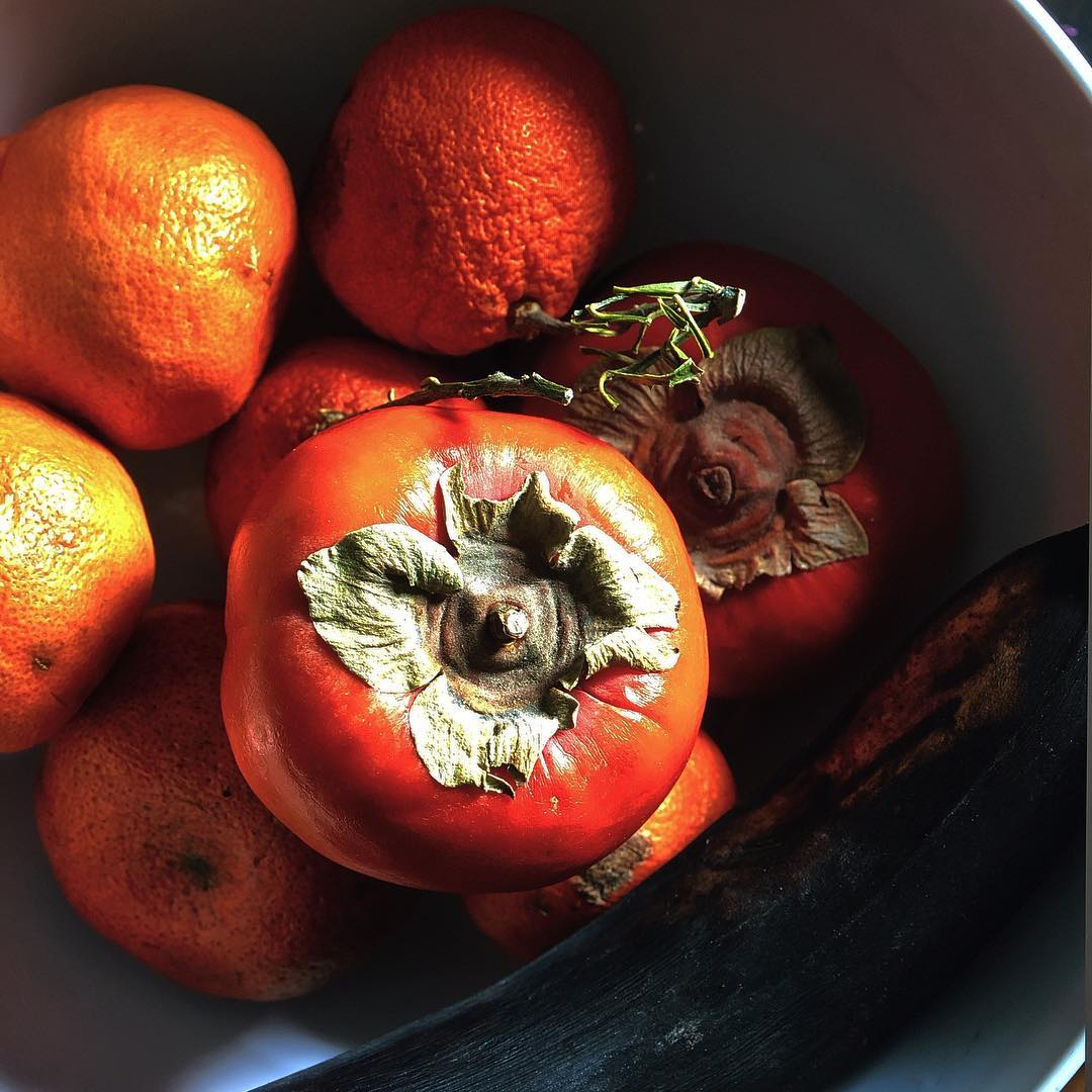 Overhead shot of persimmons, oranges, and banana in a white bowl, showcasing vibrant colors and textures of the fresh produce.