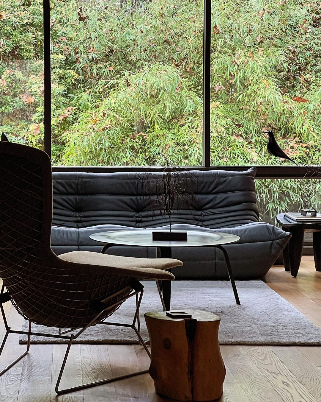 Living room interior showcasing a black leather couch, wire-frame chair, round table, and a glimpse of a bird perched outside the window.