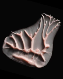 Close-up macro shot of pink cosmetic cream smeared into branching ridges against a black background.