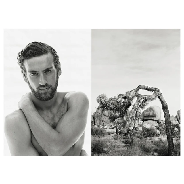 Monochrome portrait of a shirtless man juxtaposed with a desert landscape featuring a Joshua tree and rock formations under an overcast sky.