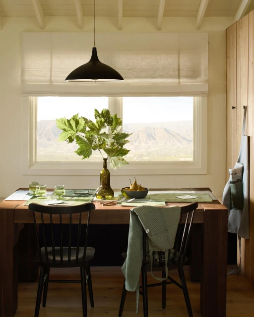 Dining room interior featuring a wooden table set with green placemats, glassware, fruit bowl, a plant, and black chairs, daylight view.