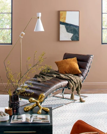 Living room setup featuring a brown leather chaise lounge with a throw pillow, a modern floor lamp, and decorative objects on a coffee table.