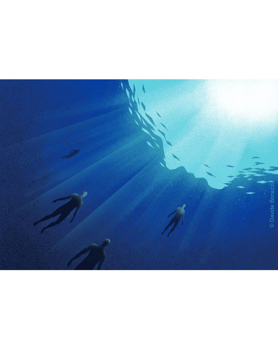 Underwater scene showing figures swimming beneath sunlit surface with schooling fish and light rays in a blue monochromatic palette.