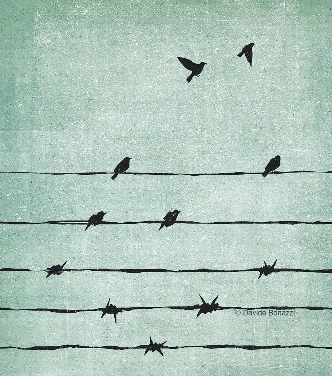 Illustration of birds perched on and flying around barbed wire against a textured blue background, creating a stark and evocative image.