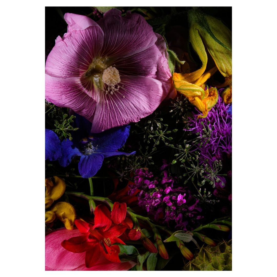 Close-up photo of a vibrant assortment of flowers in full bloom with petals in shades of pink, red, purple, blue, and yellow against a dark background.