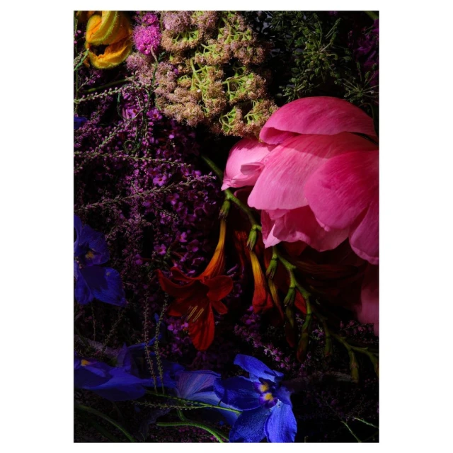 Close-up of a vibrant bouquet featuring large pink and red flowers, smaller purple flowers, and assorted green foliage against a dark background.