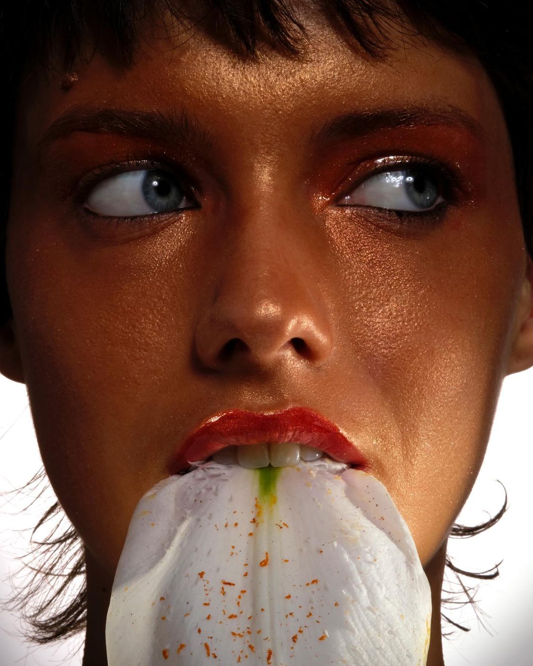 Close-up portrait of a woman with bronzed skin and red lipstick, holding a white lily flower in her mouth against a white background.