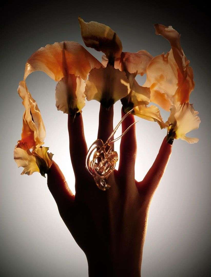 Hand adorned with a sculptural gold ring and delicate flower petals on the fingertips, set against a gradient grey studio backdrop.