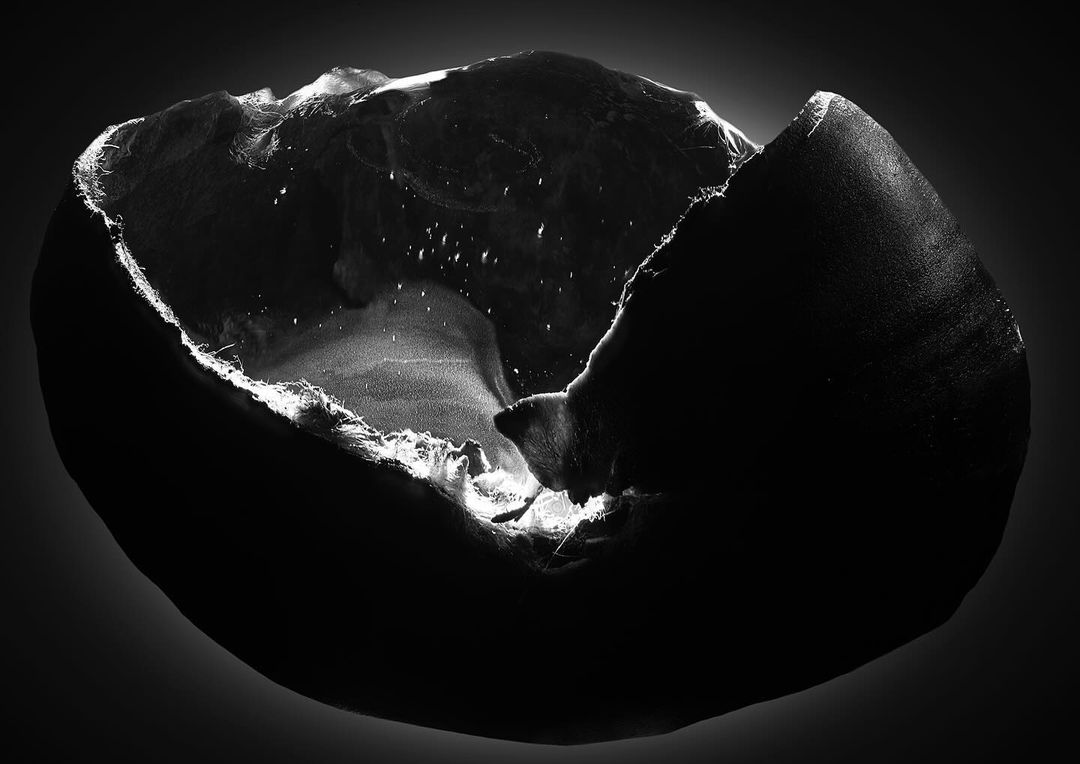 Striking black and white still life of a cracked, dark object with a bright interior, showcasing texture and form in a dramatic light.
