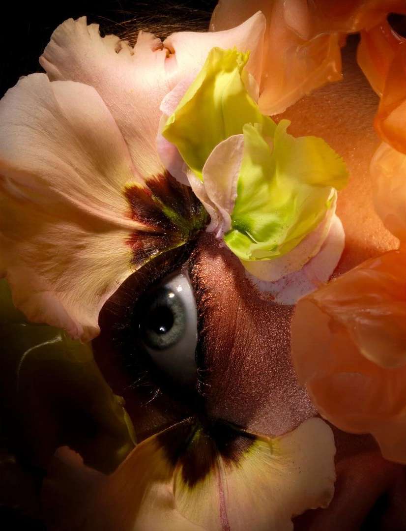 Surreal portrait of a person's eye surrounded by colorful flower petals in a close-up composition with unique, artistic lighting.