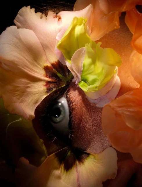 Surreal portrait of a person's eye surrounded by colorful flower petals in a close-up composition with unique, artistic lighting.
