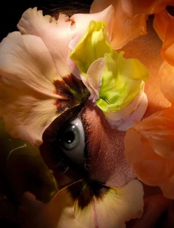 Surreal portrait of a person's eye surrounded by colorful flower petals in a close-up composition with unique, artistic lighting.